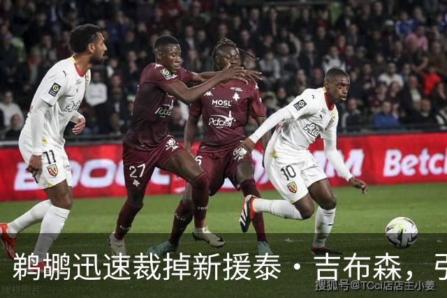 鹈鹕迅速裁掉新援泰·吉布森，引发疑问